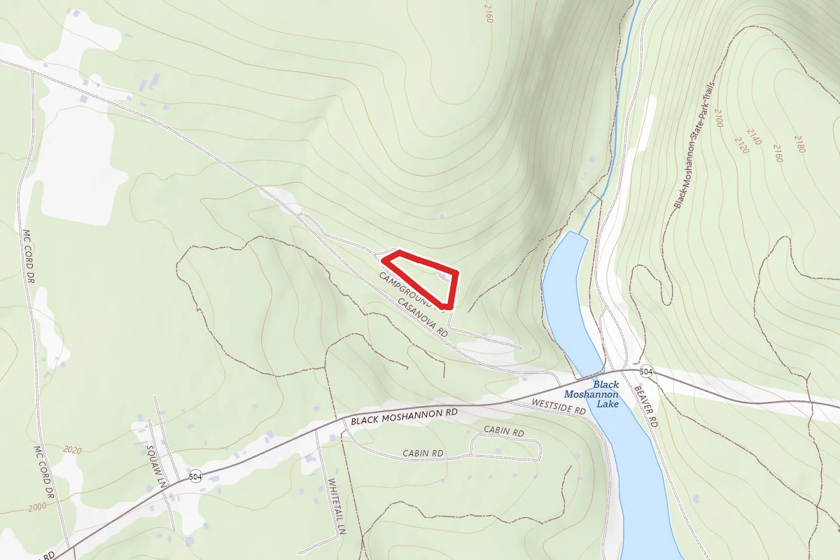 Black Moshannon Campground Trail