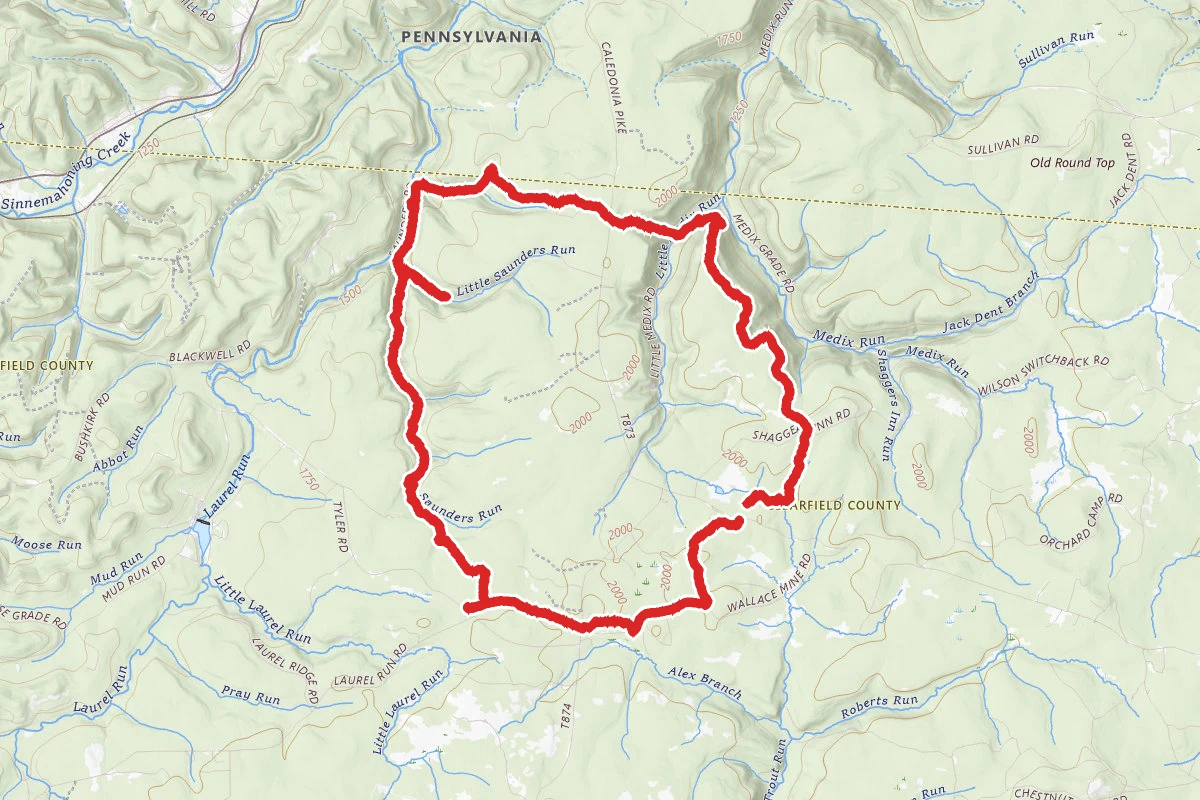 Quehanna North Trail