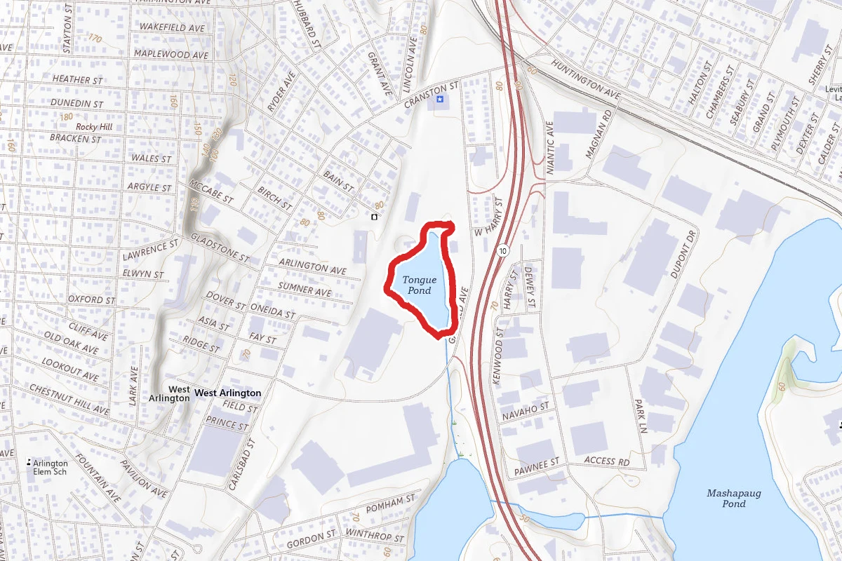 Tongue Pond Loop