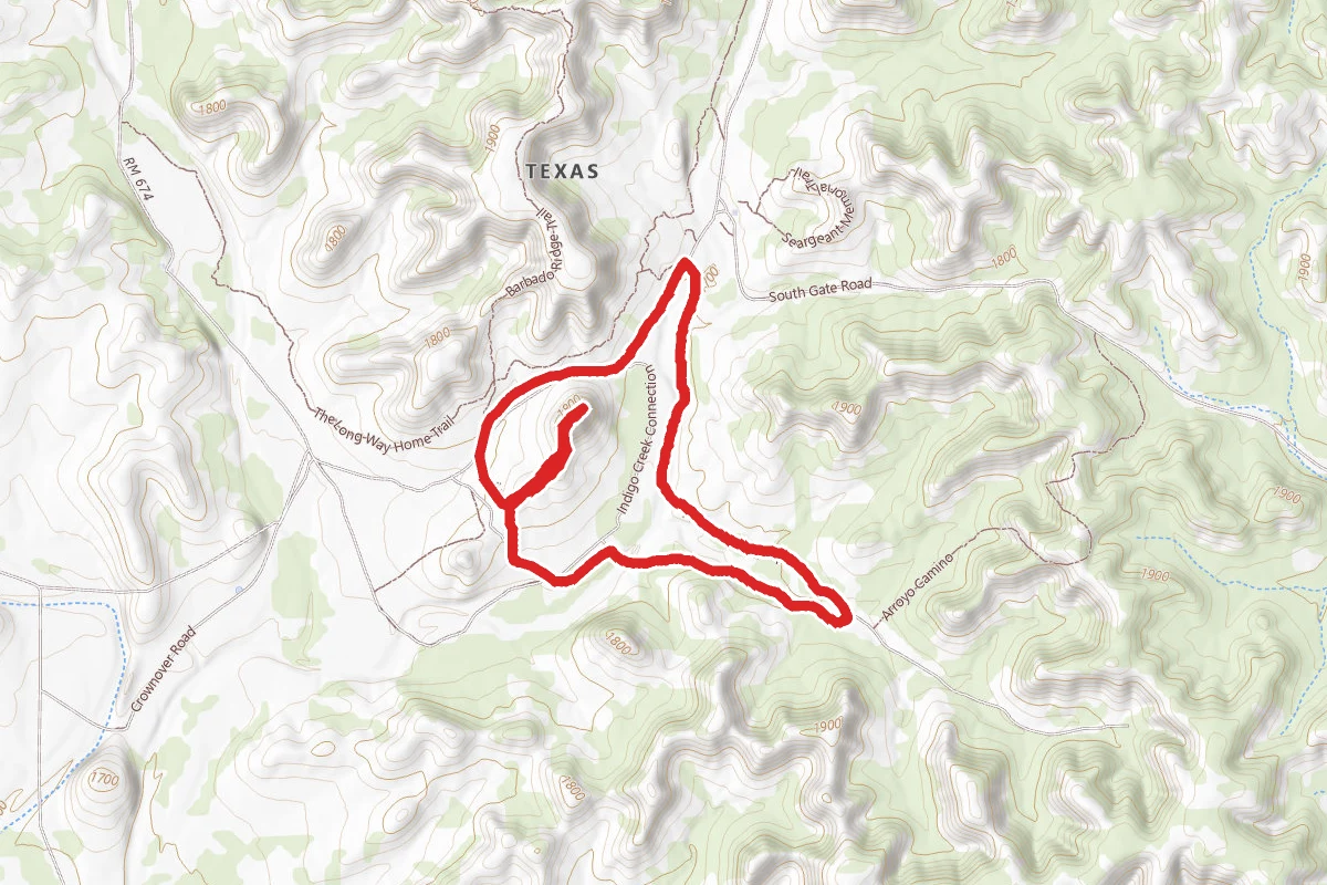 Pine Canyon, Armadillo Lookout and Vireo Vista Loop