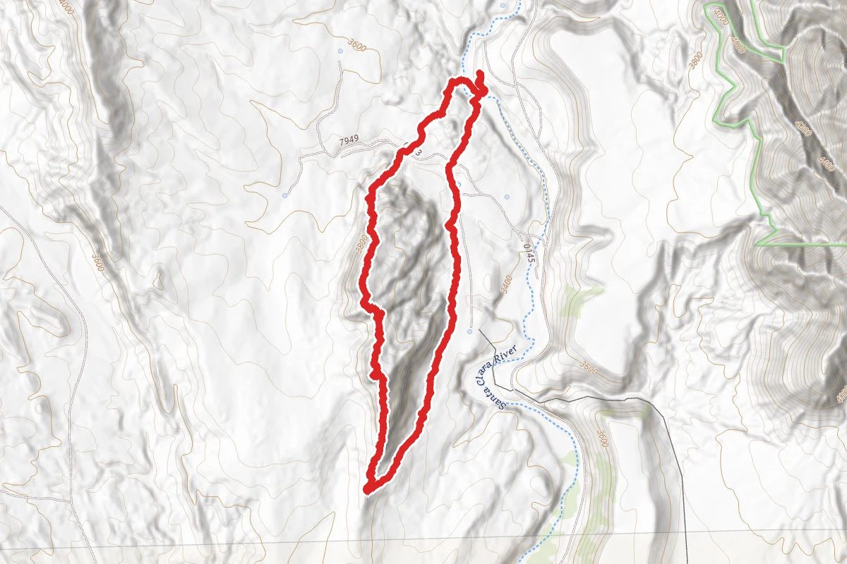 Gunlock Loop
