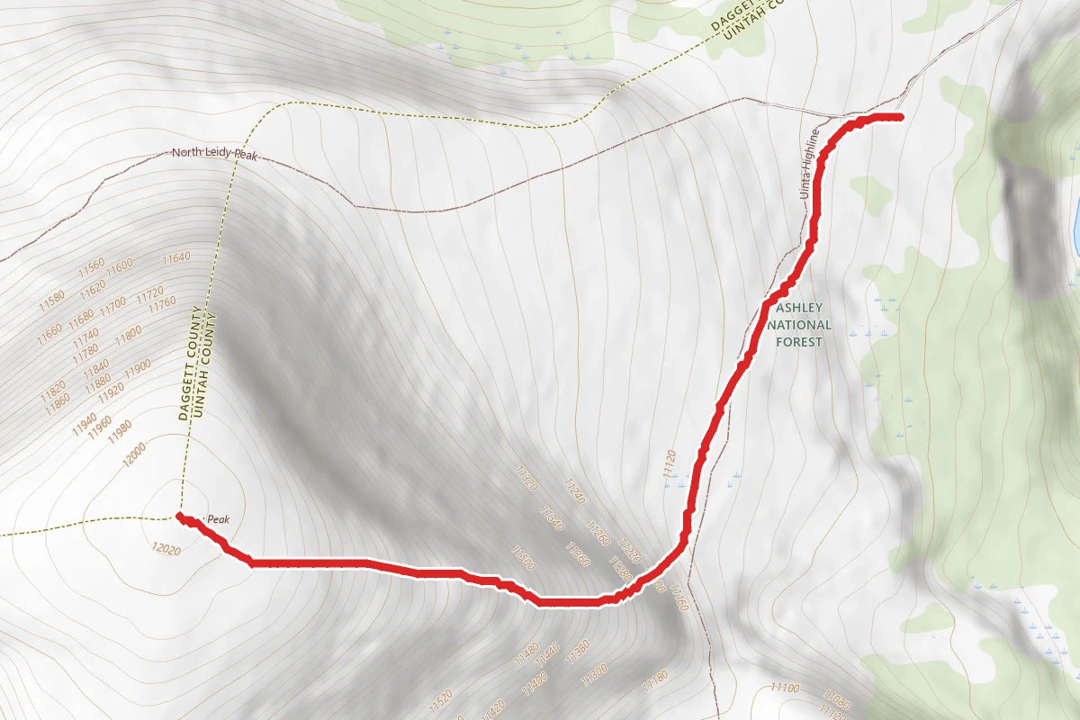 Leidy Peak