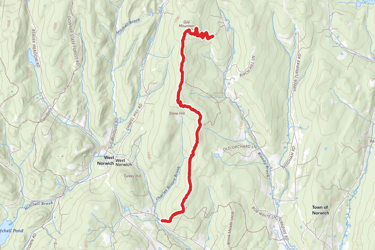 Blue Ribbon Trail to Gile Mountain