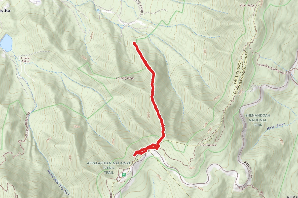 Leading Ridge Trail