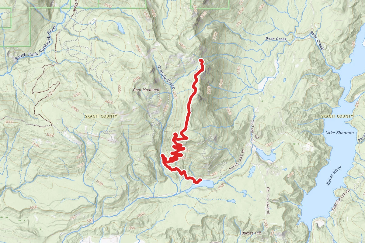 Grandy Lake and Logging Road Trail