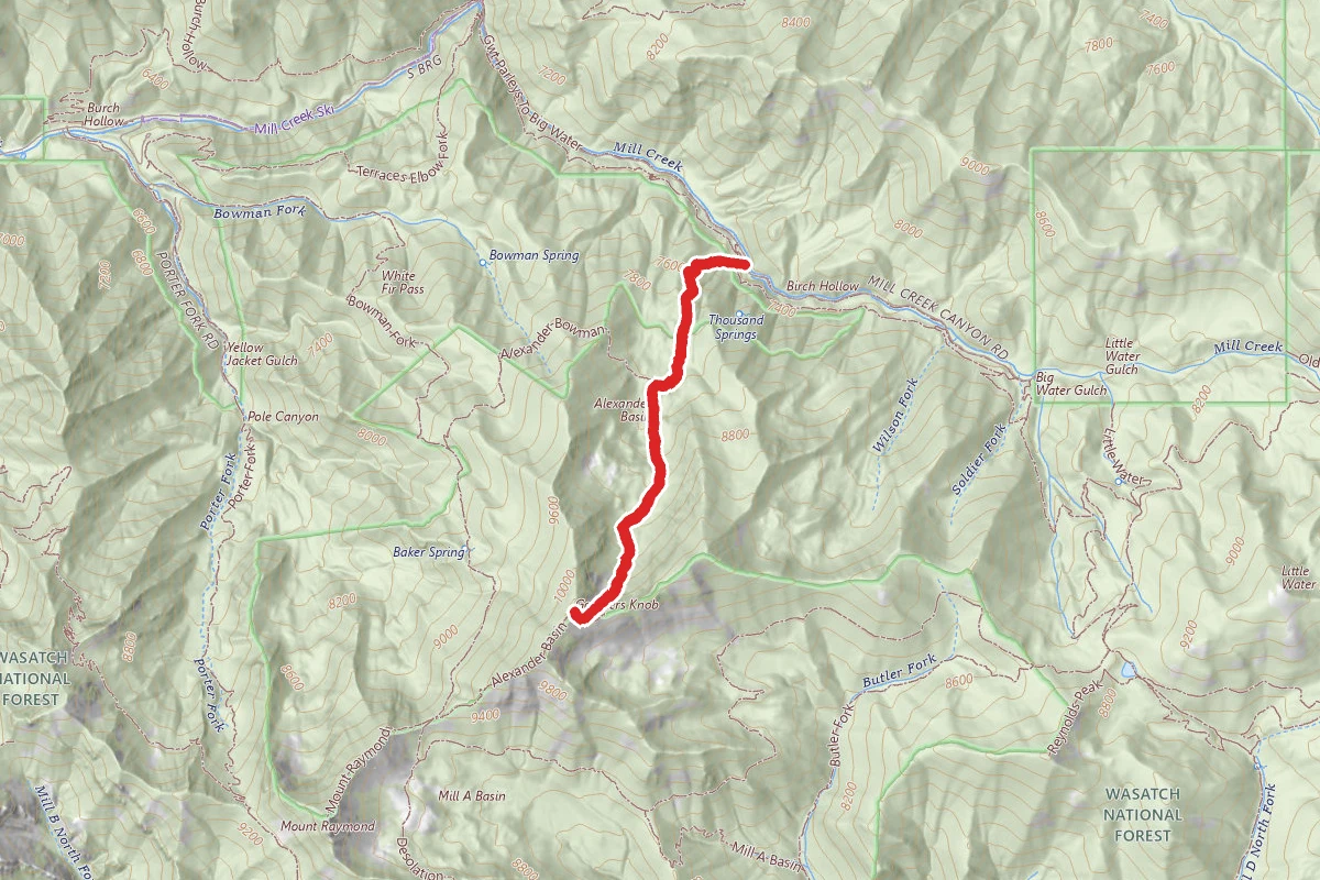 Gobblers Knob via Alexander Basin Trail