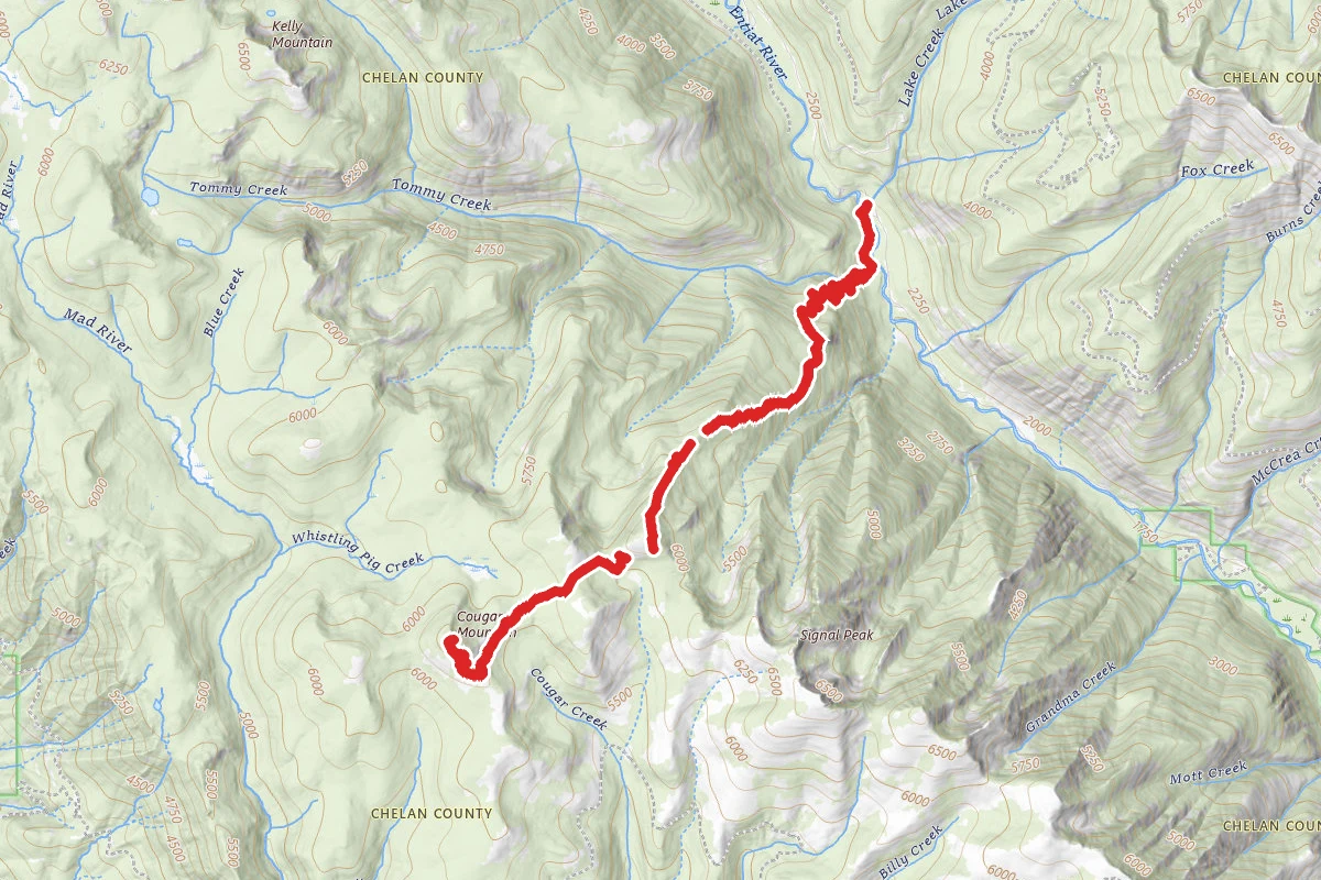 Cougar Mountain via S Tommy and Tyee Ridge Trail