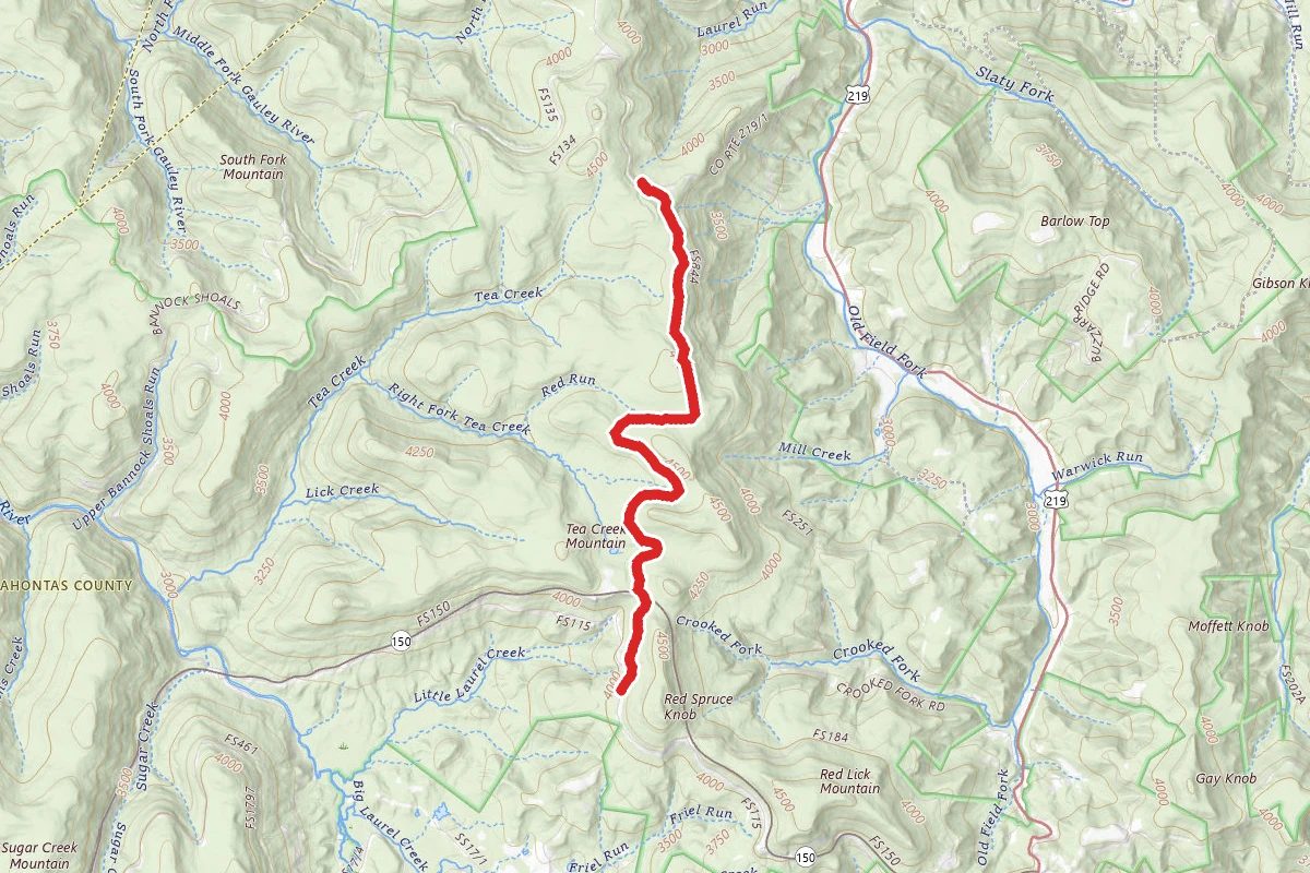 Gauley Mountain Trail
