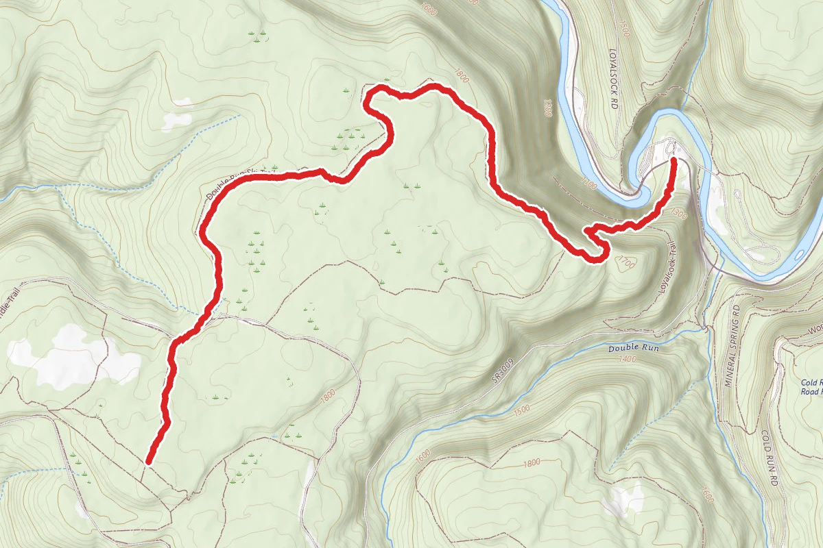 Loyalsock and Worlds End Trail