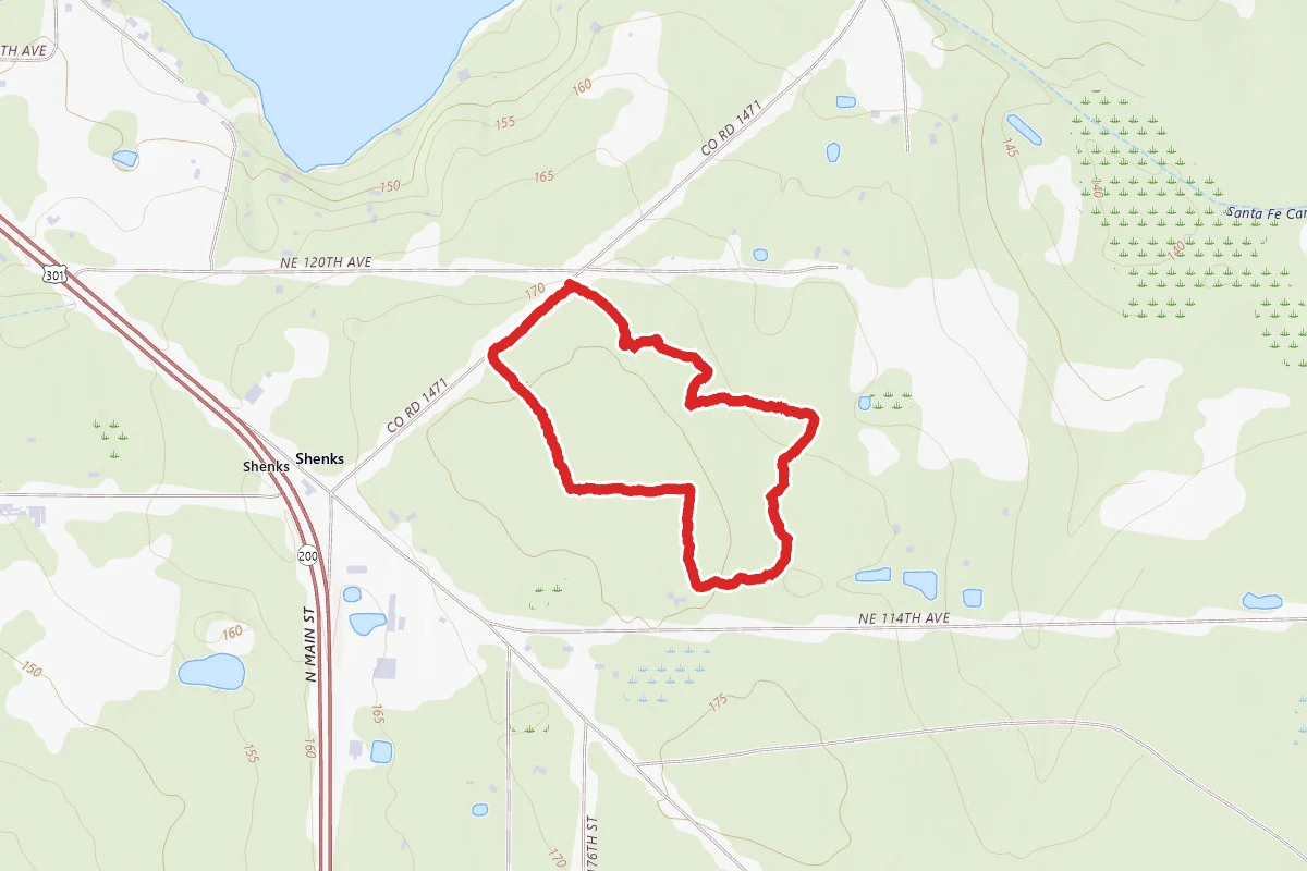 Longeleaf Ecology and Forestry Society (LEAFS) Stewardship Forest Trails