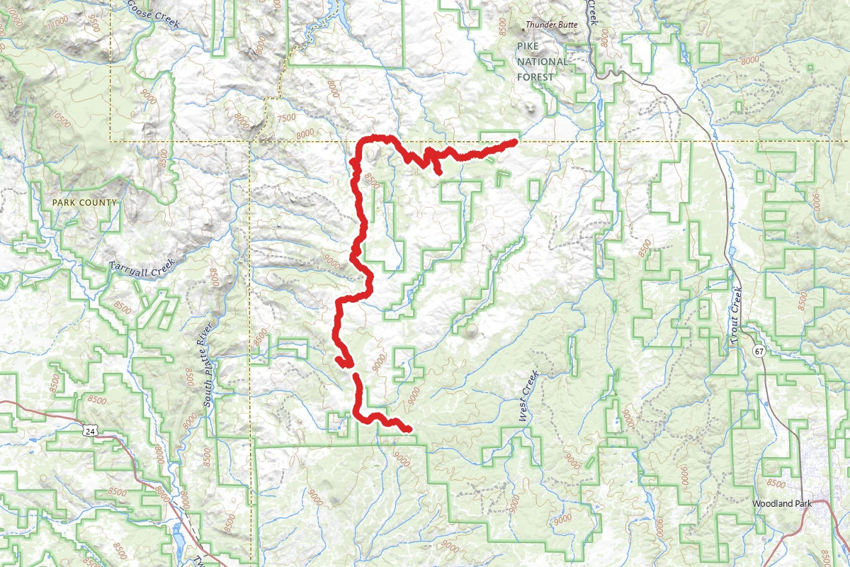 Cedar Mountain OHV Road