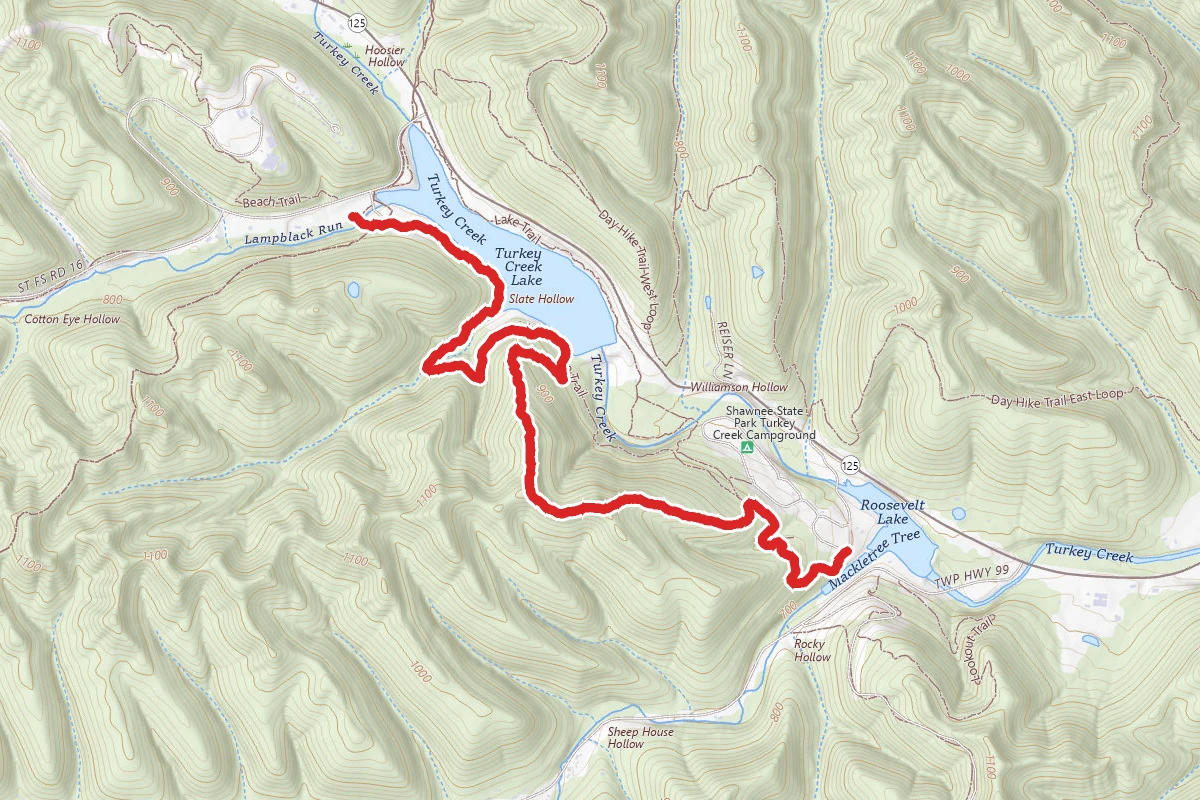 Knighton Nature Trail