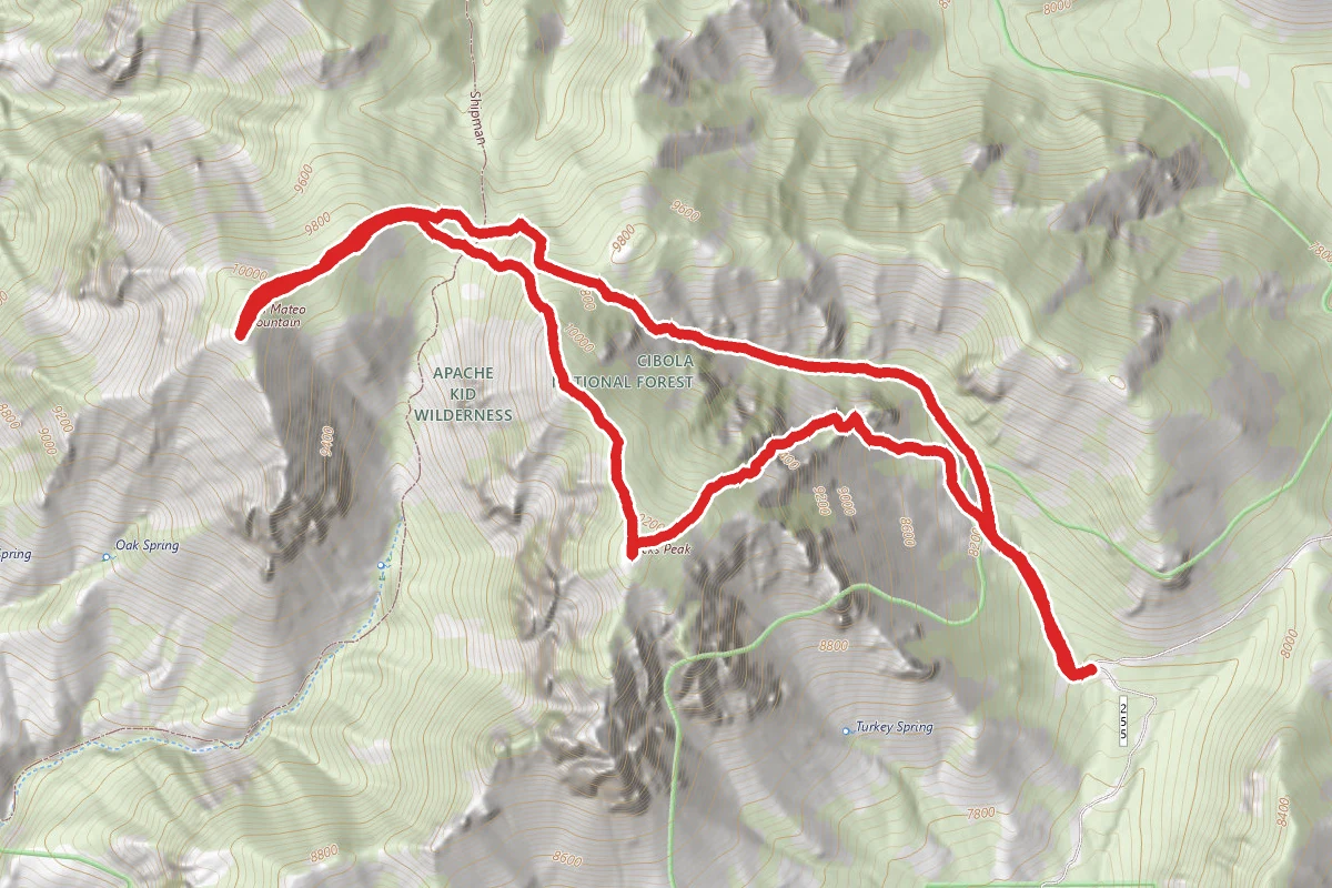 Vick’s Peak and San Mateo Mountain Loop