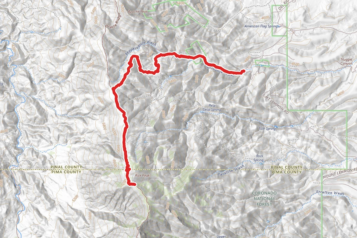 Rice Peak via FS29 OHV Trail