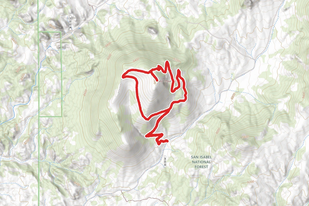 San Isabel Bald Mountain Trail