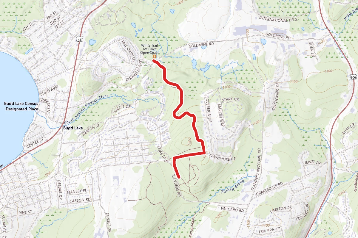 Mount Olive Open Space White Trail