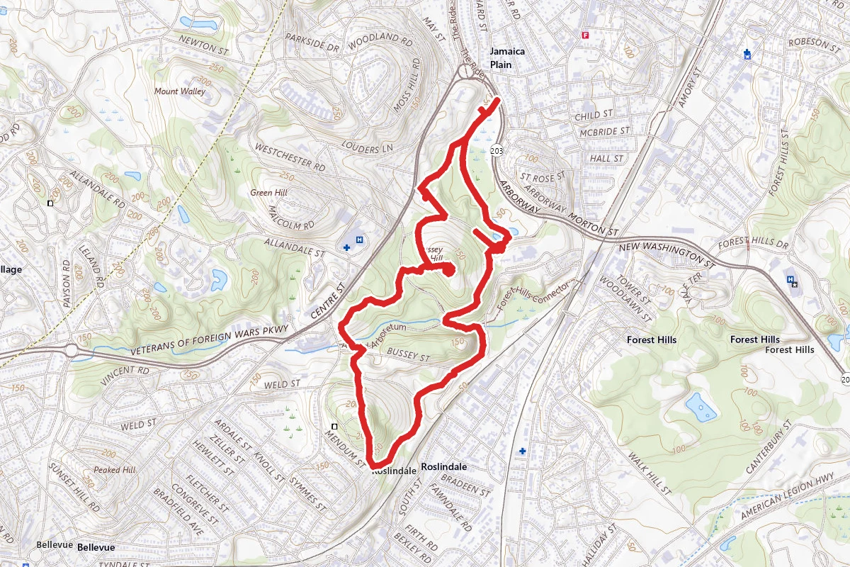Arnold Arboretum Trail