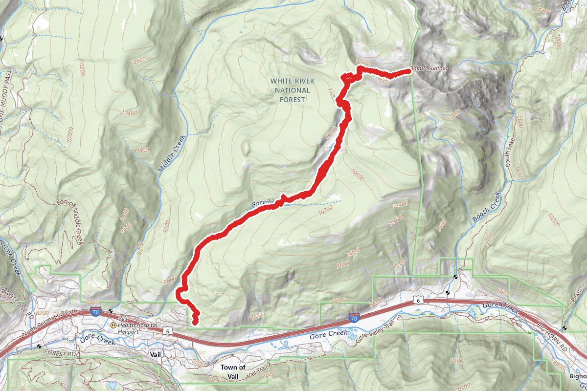 Bald Mountain Bushwack