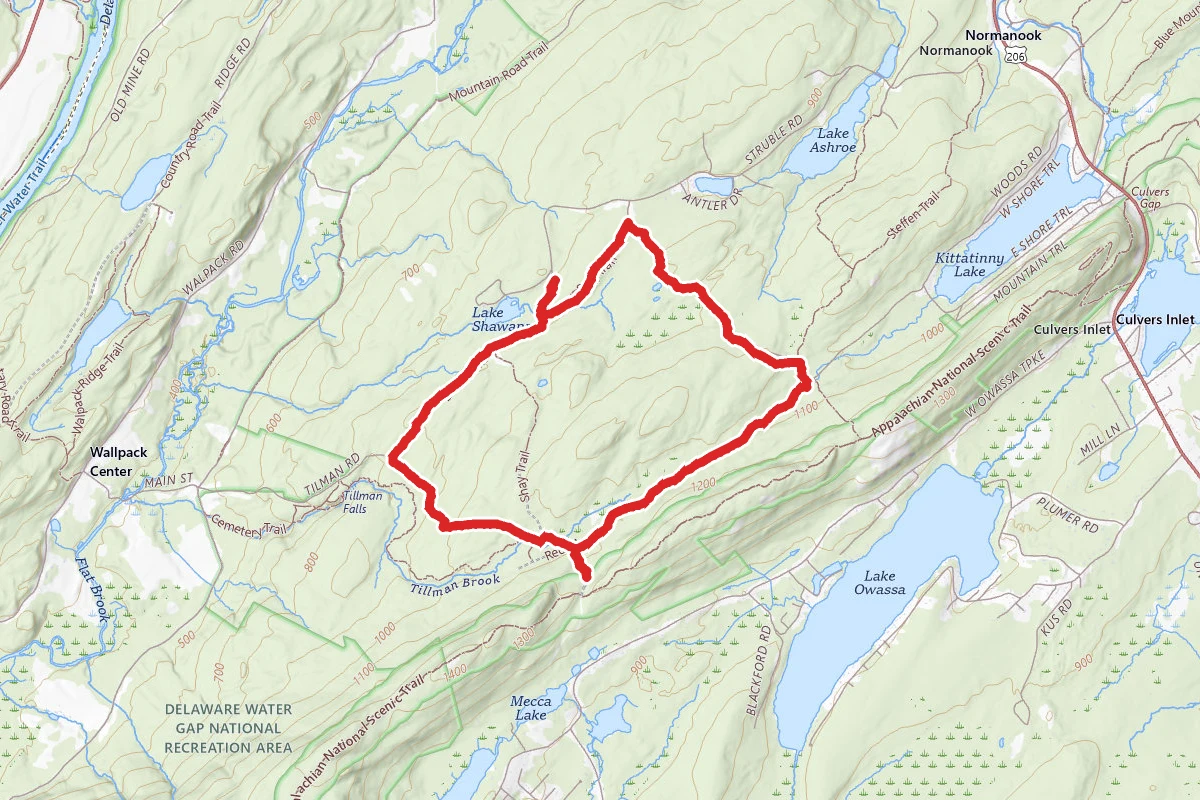 Woods Road Ski Loop