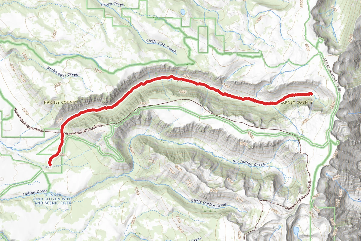 Little Blitzen Gorge Trail