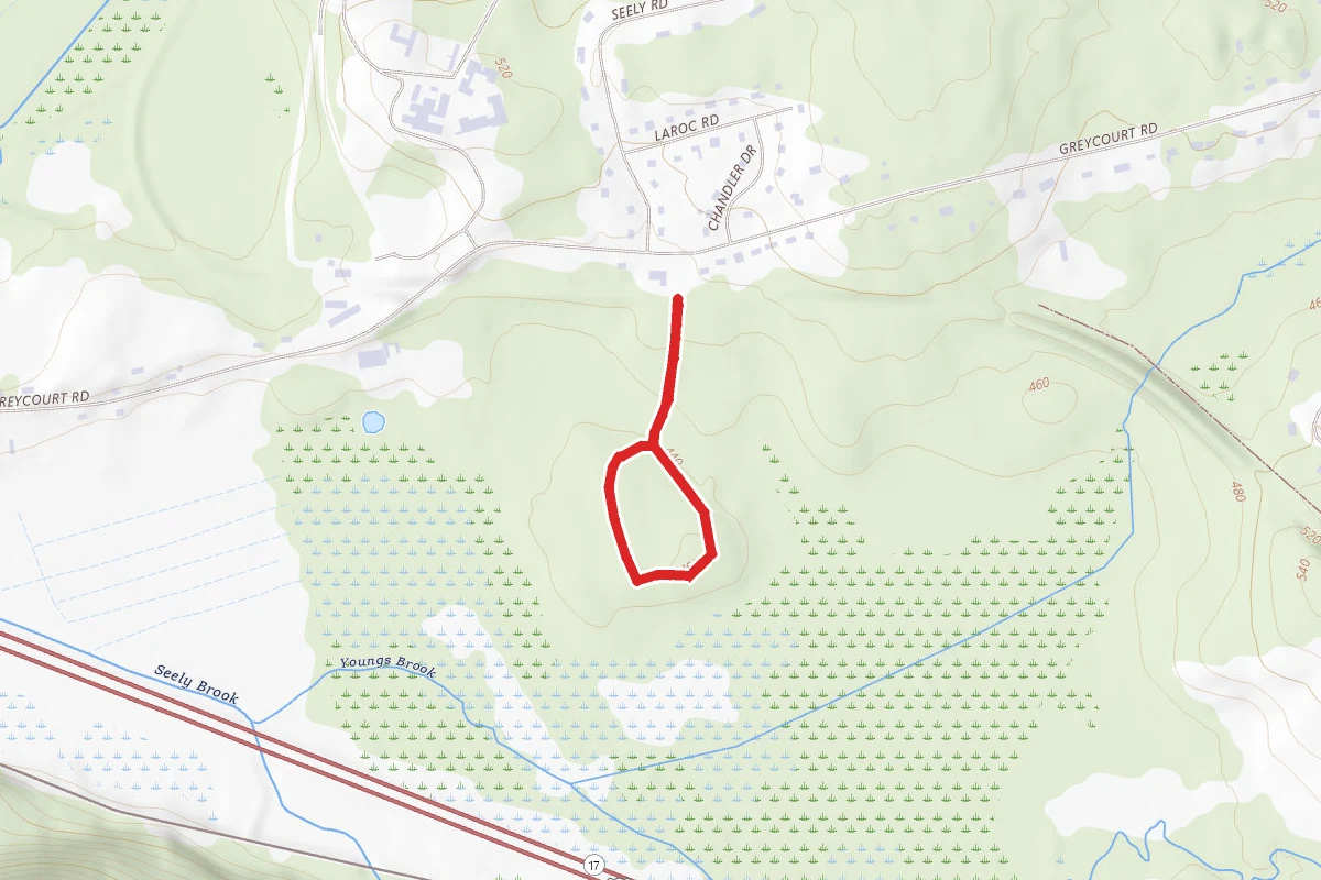 Birnberg Nature Preserve Trail
