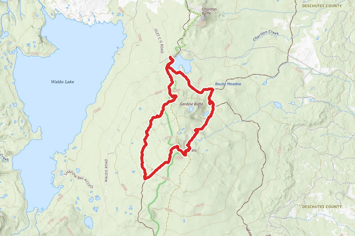 The Twins Loop