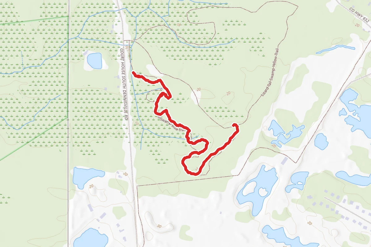 Lizard Tail Swamp Blue Trail