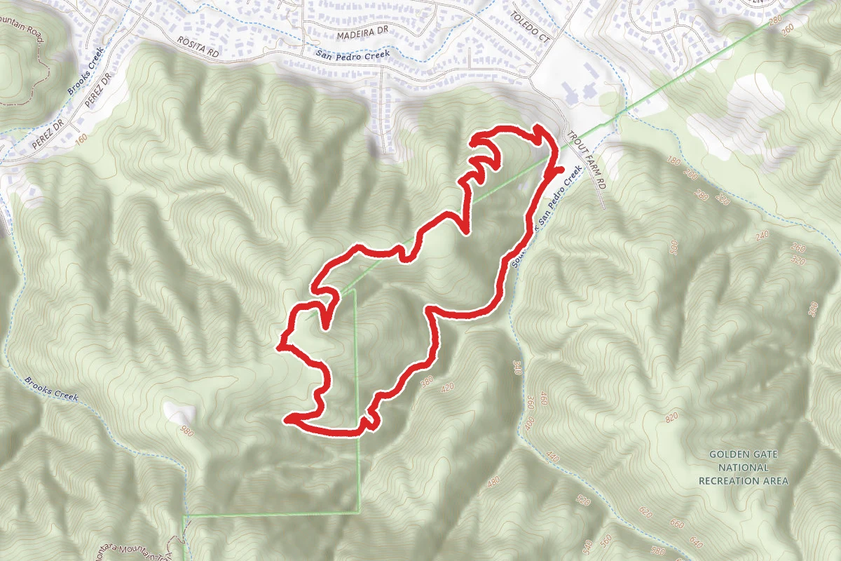Brooks Falls Loop