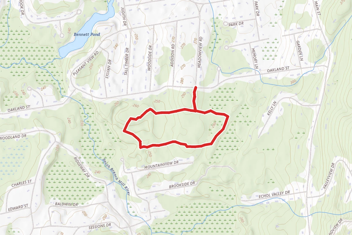 Oakland Trailwalk