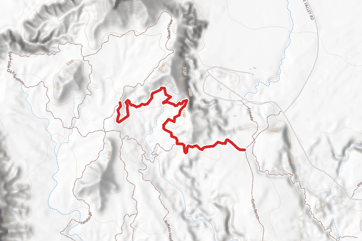 Lizard Foot Trail