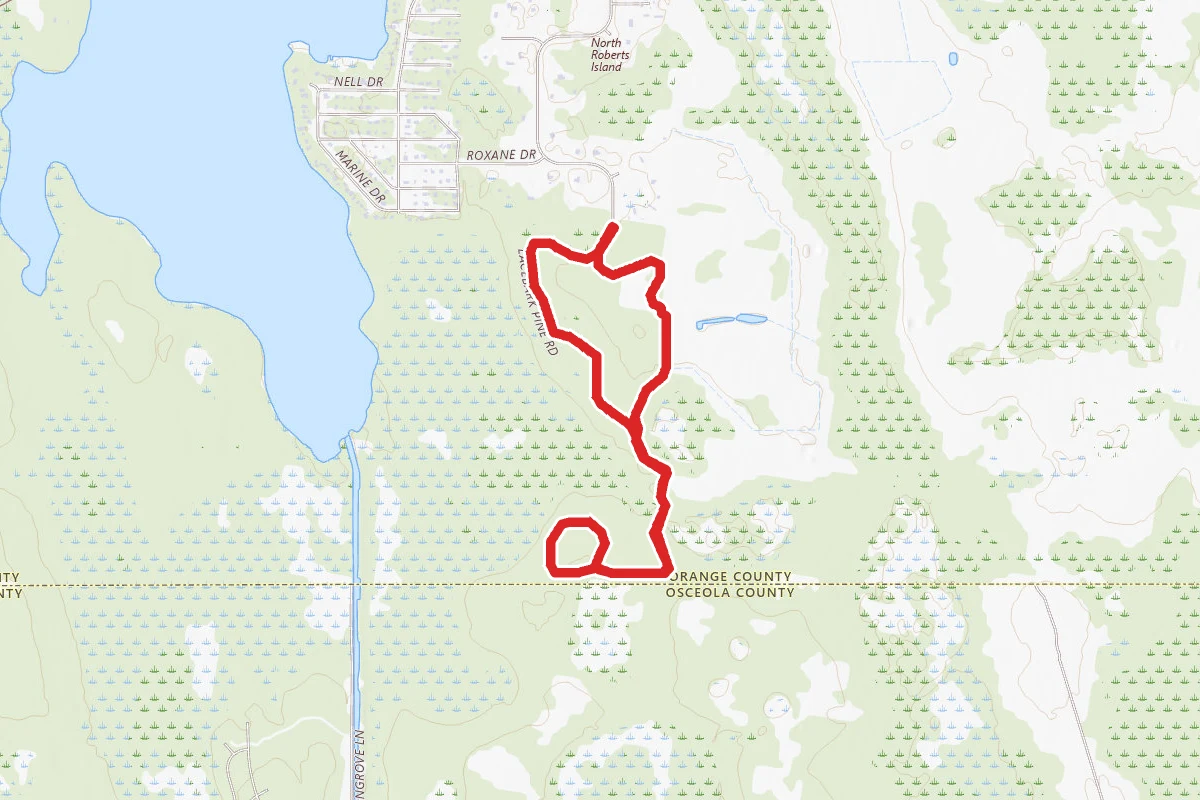Isle of Pine Orange Trail