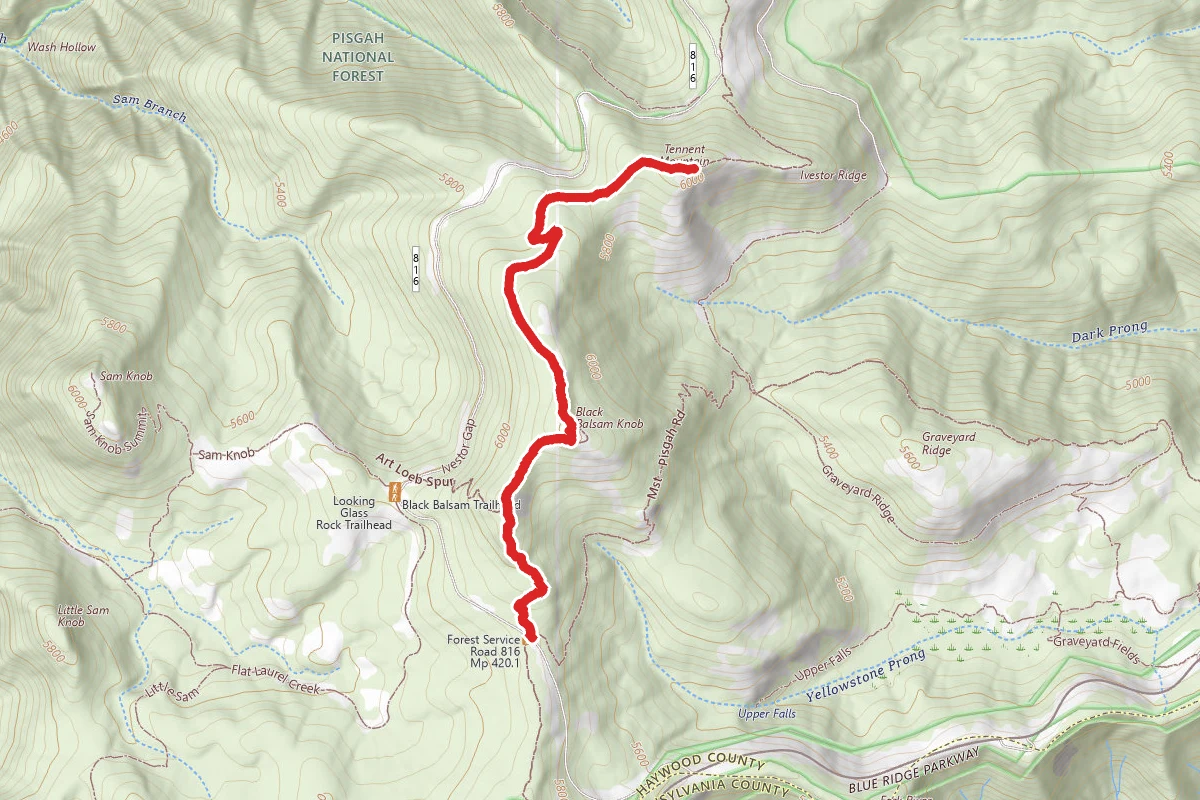 Tennent Mountain via Black Balsam Knob and Art Loeb Trail