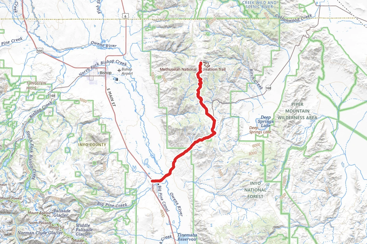Big Pine to Schulman Grove