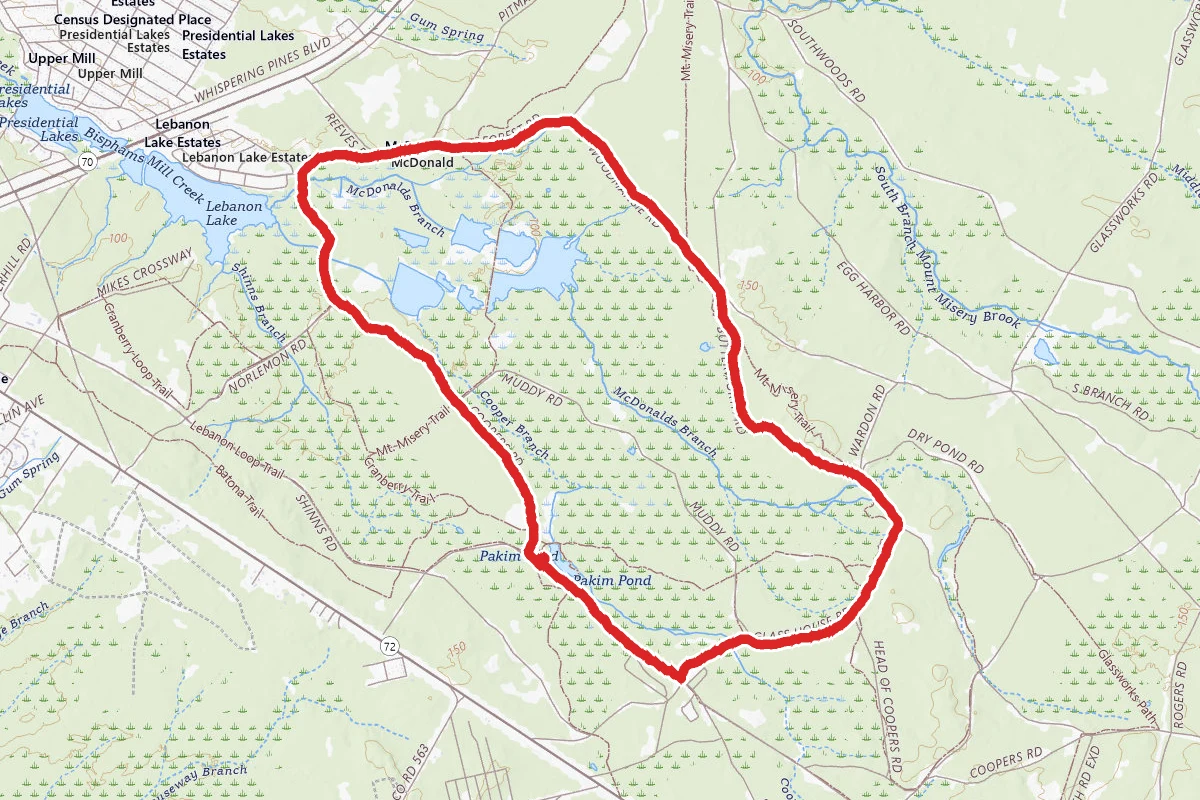 Brendan Byrne Forest Loop