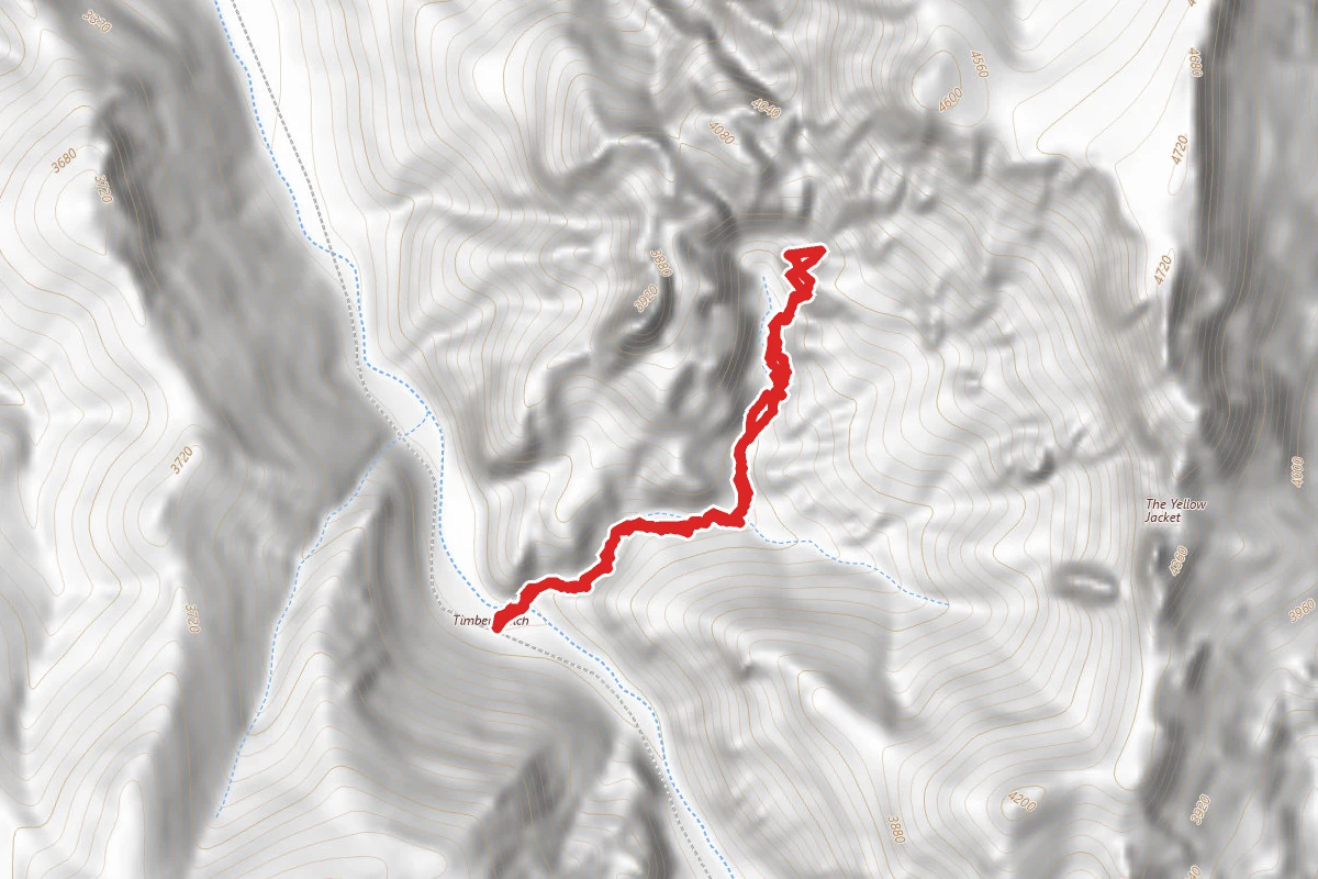 Timber Gulch