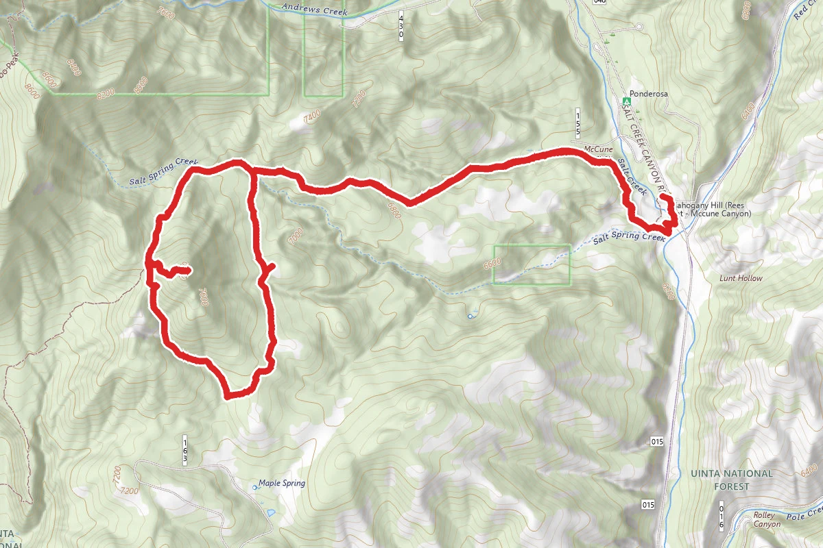 Mahogany Hill Trail