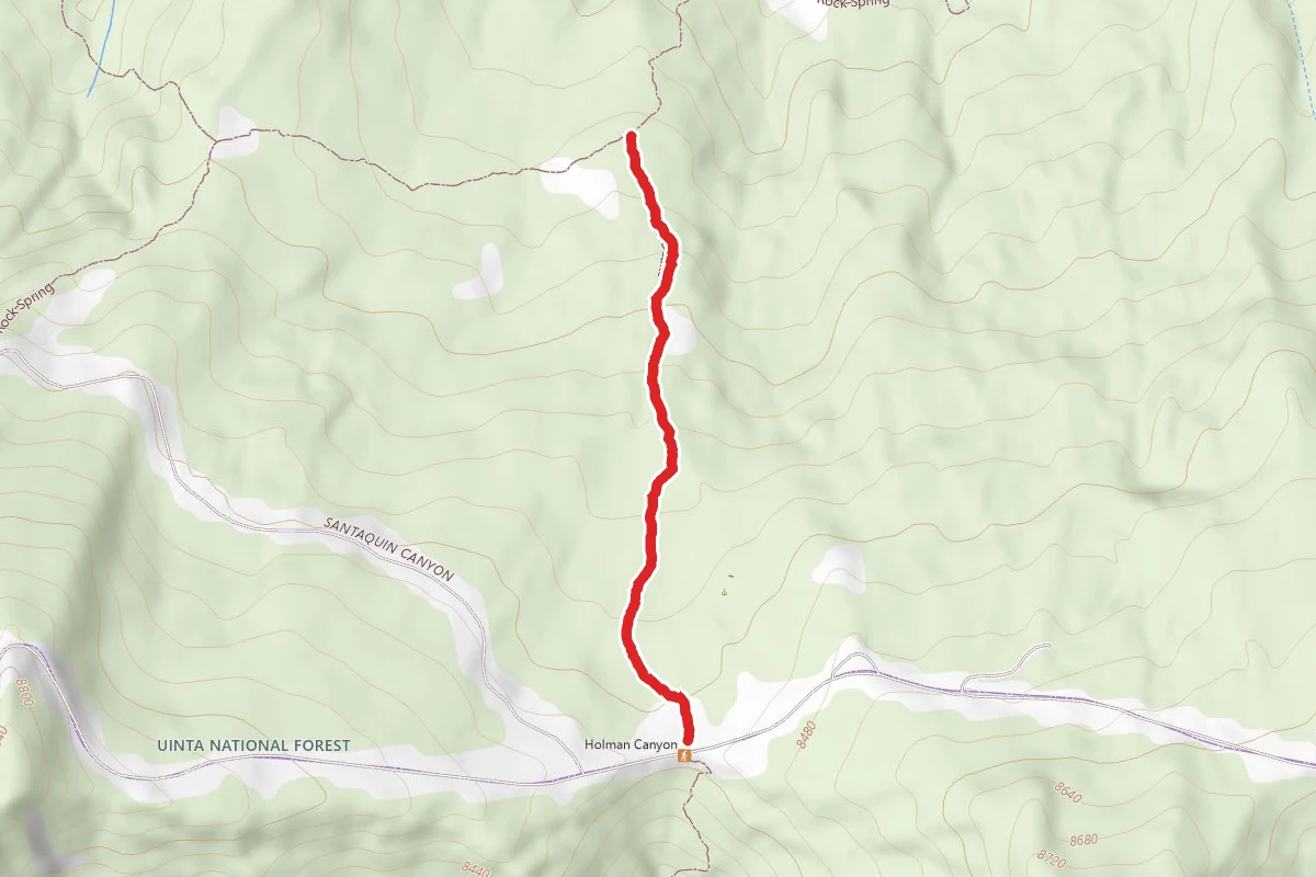 Lizard Lake Connector Trail (FS trail #069)