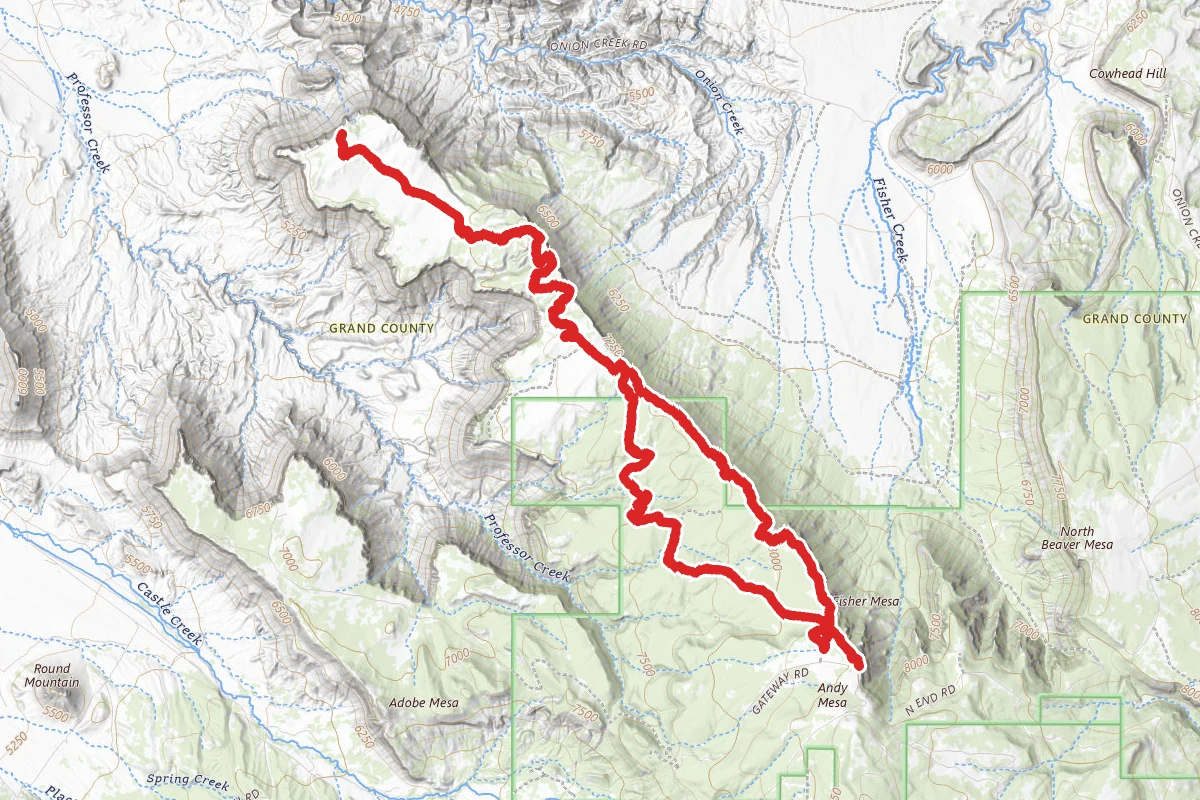 Fisher Mesa Loop