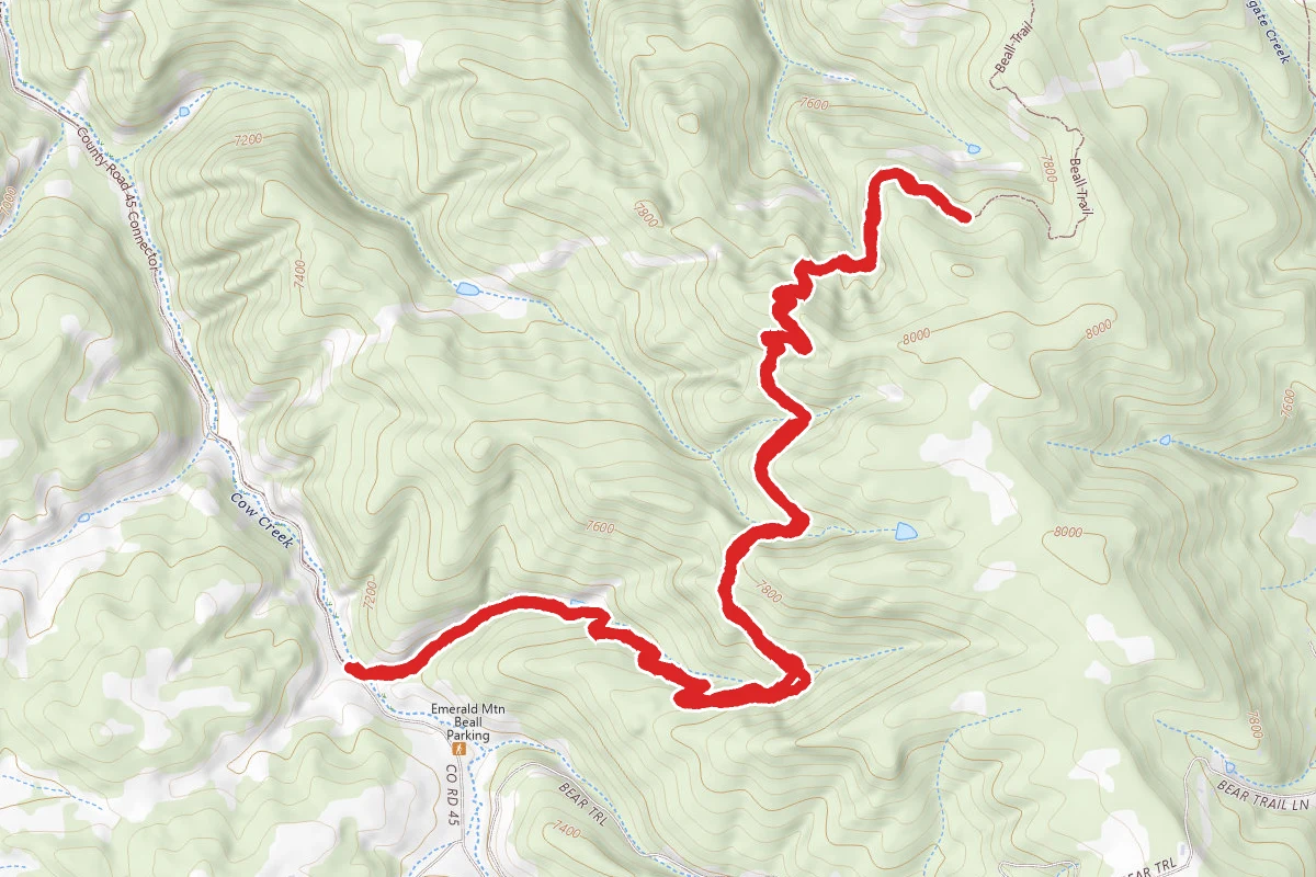 Beall Trail