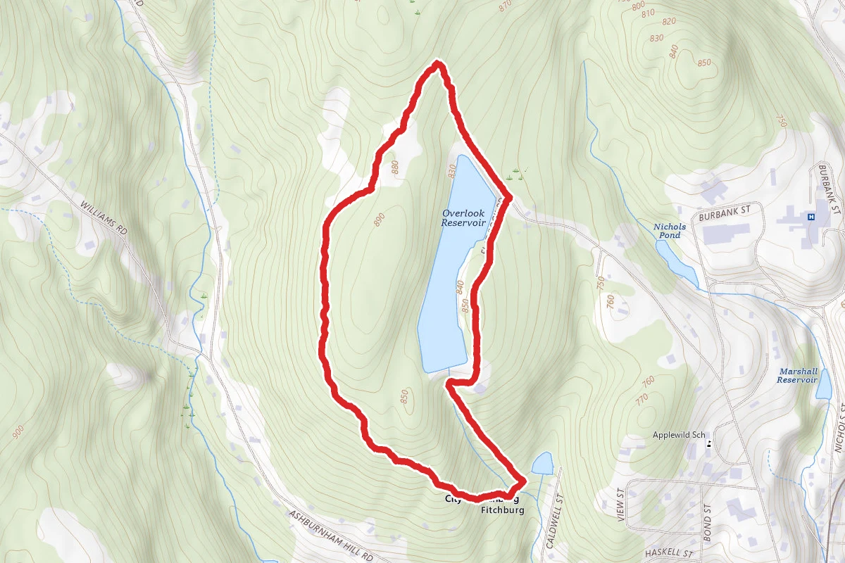 Bushwhack Loop