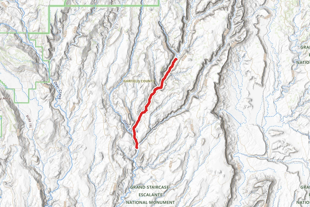 Lower Gulch