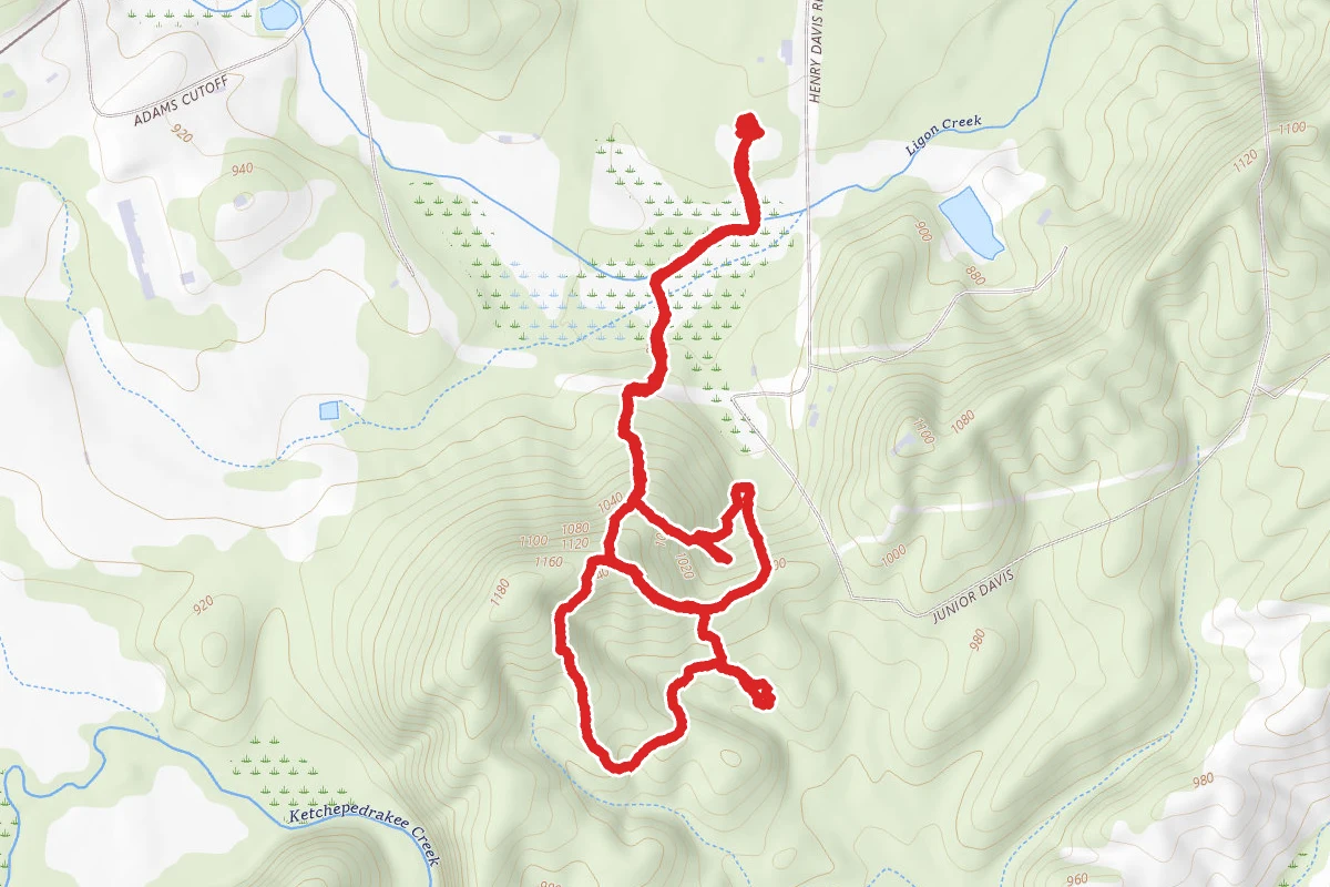Morris Mountain ORV Park Loop
