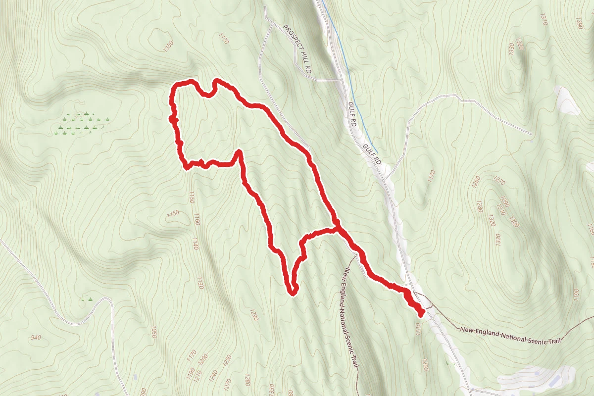 Northfield Town Forest Loop