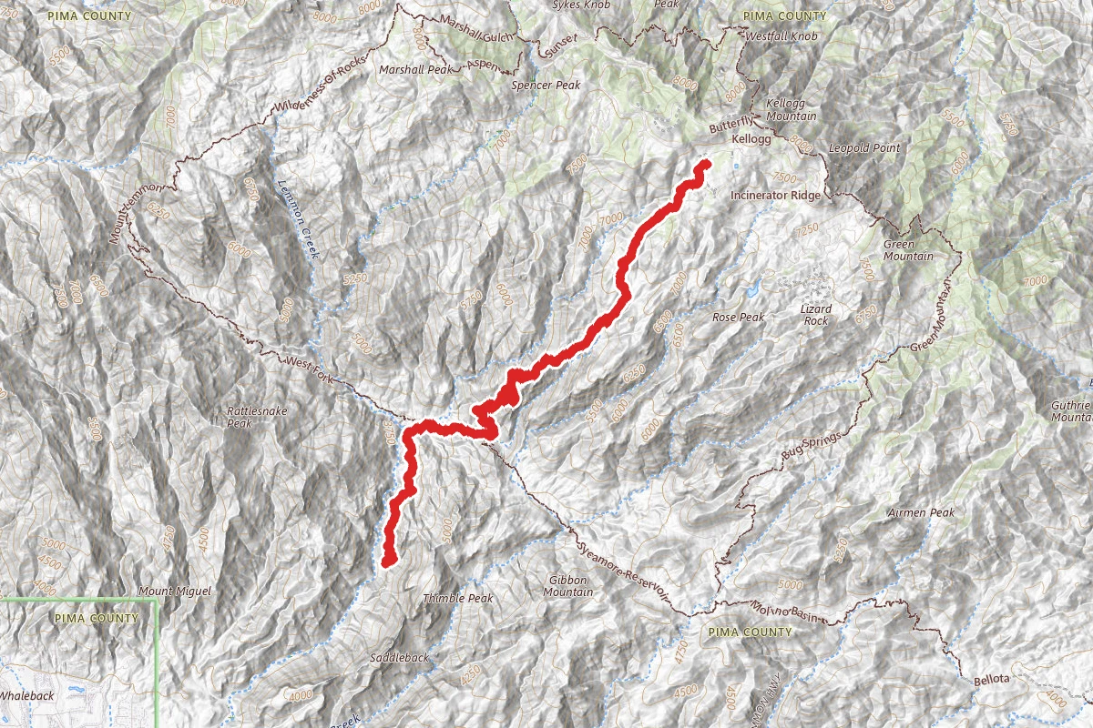Palisade, East Fork and Sabino Canyon Trail