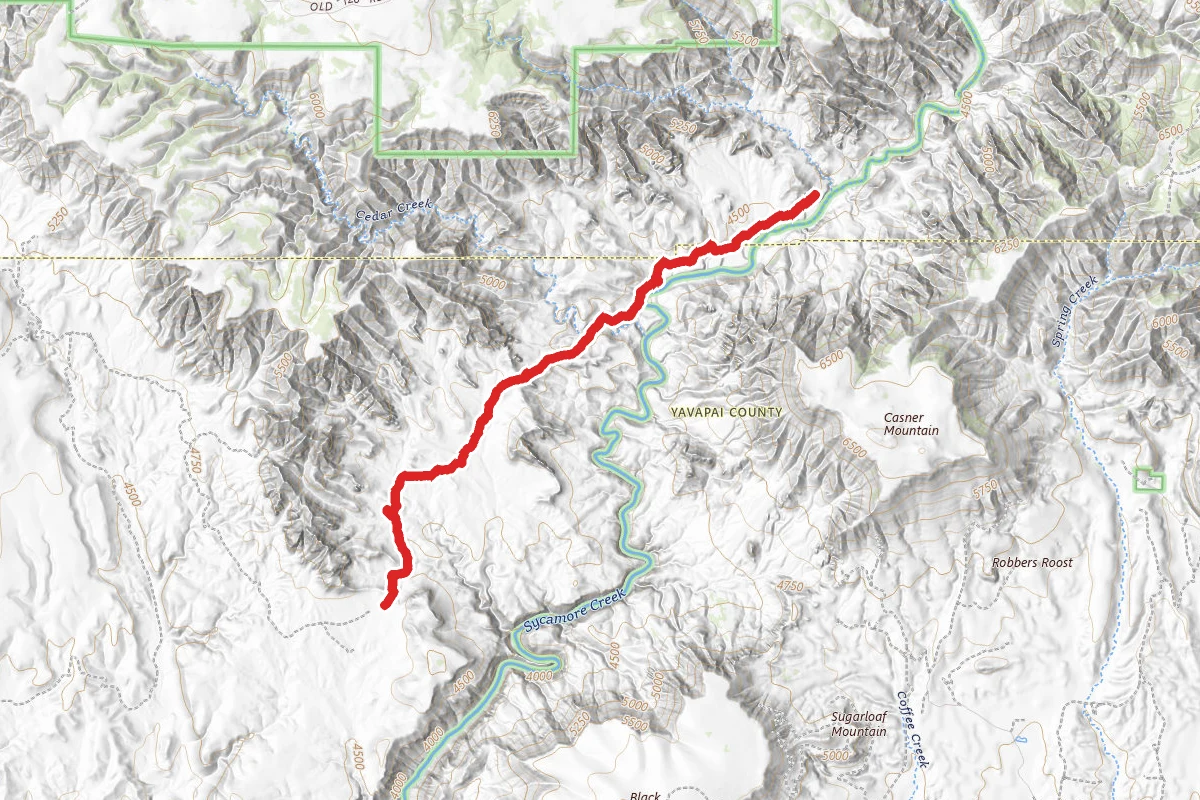 Sycamore Basin Trail