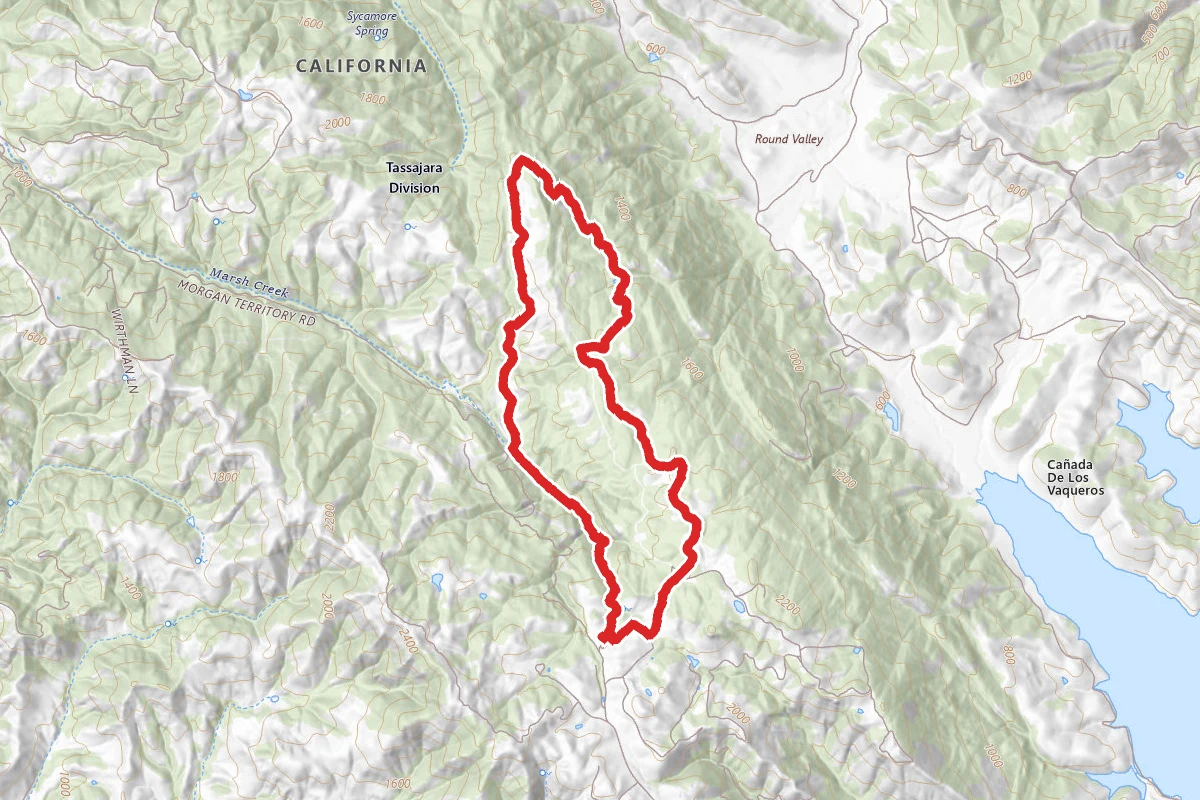 Coyote, Stone Corral, Blue Oak Trail Loop