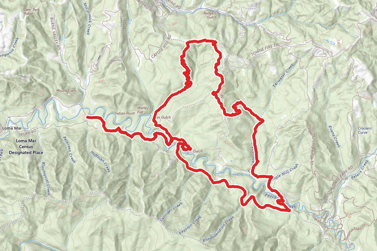 Pescadero Creek Trail to Brook Trail Loop