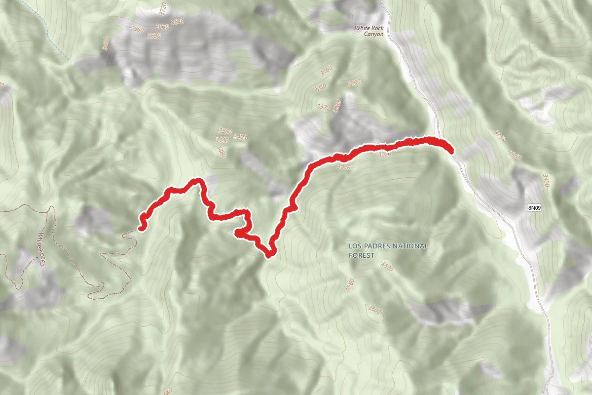 White Rock Canyon Trail