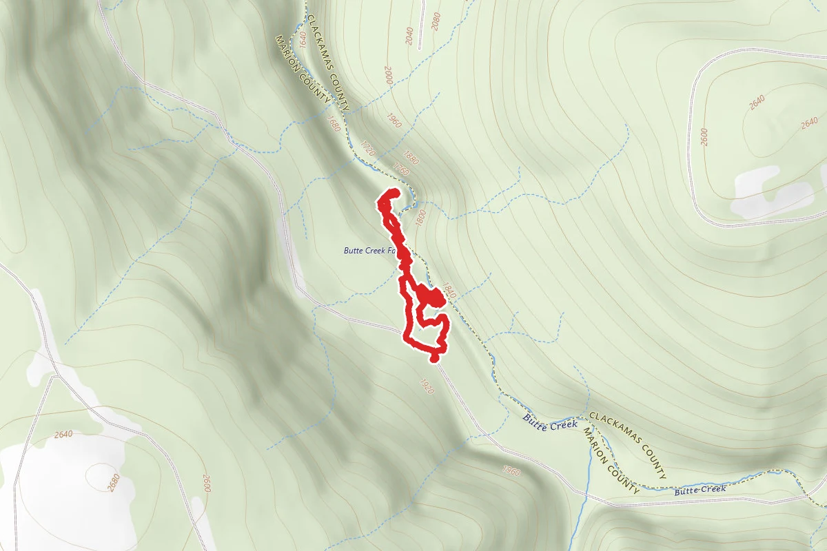 Butte Creek Falls Trail