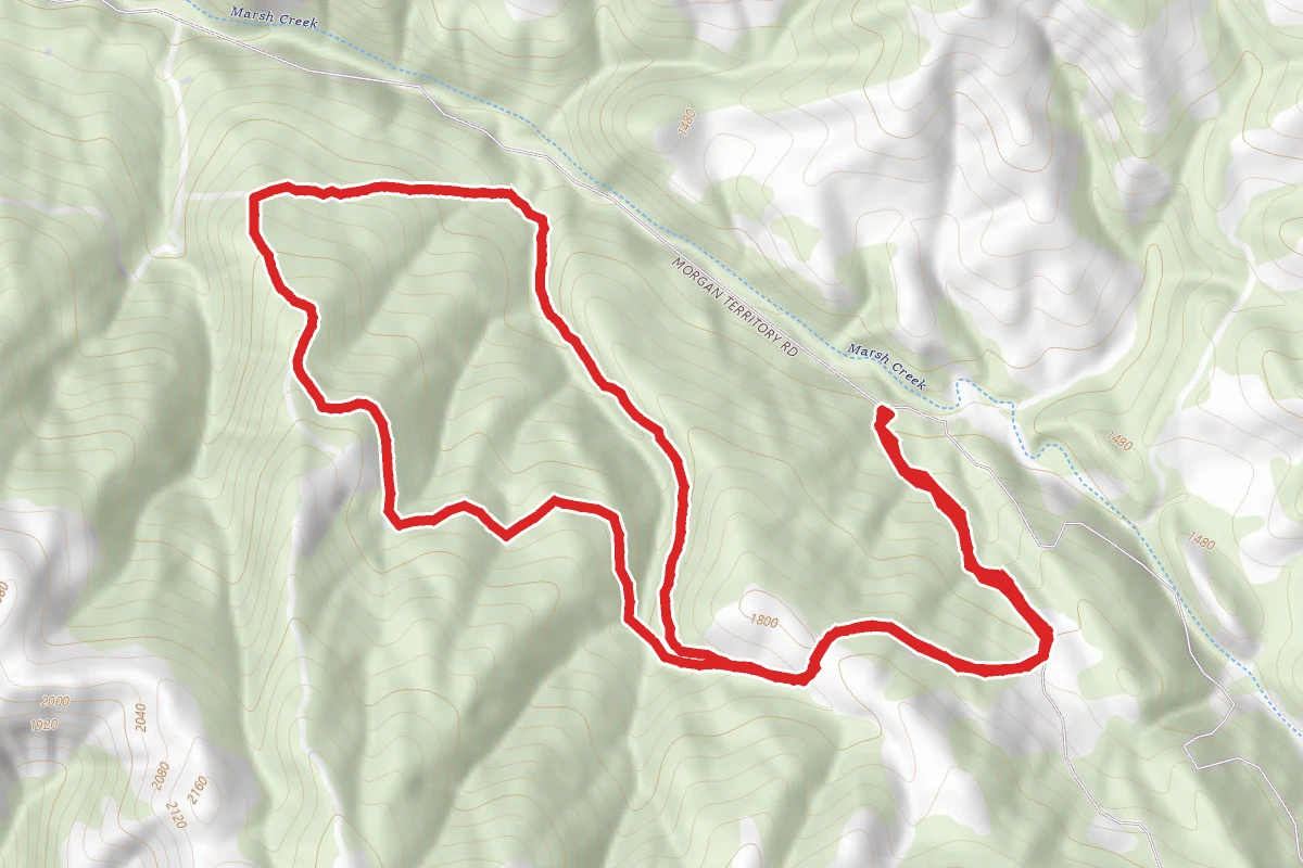 Fox and Raven Trail Loop